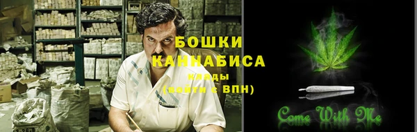 не бодяженный Новодвинск