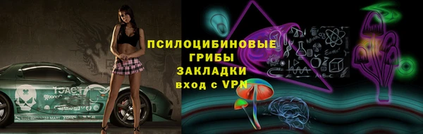 не бодяженный Новодвинск