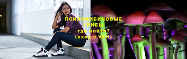 не бодяженный Новозыбков