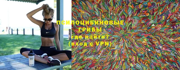 не бодяженный Новодвинск