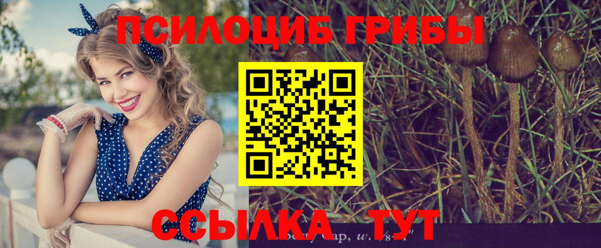 Псилоцибиновые грибы мухоморы Пенза