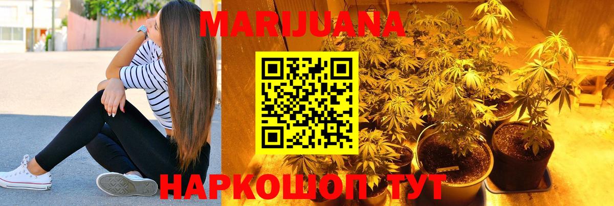 Пенза  Шишки марихуана планчик  Бошки Шишки индика  Бошки марихуана конопля  Бошки марихуана план  Вход с VPN 